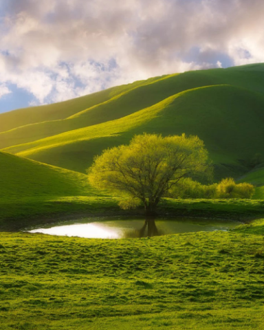 natuur