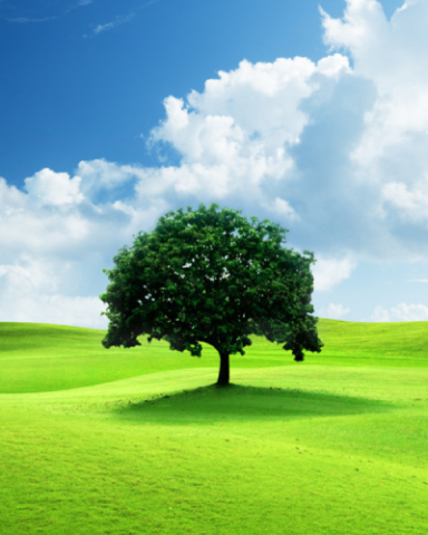 natuur